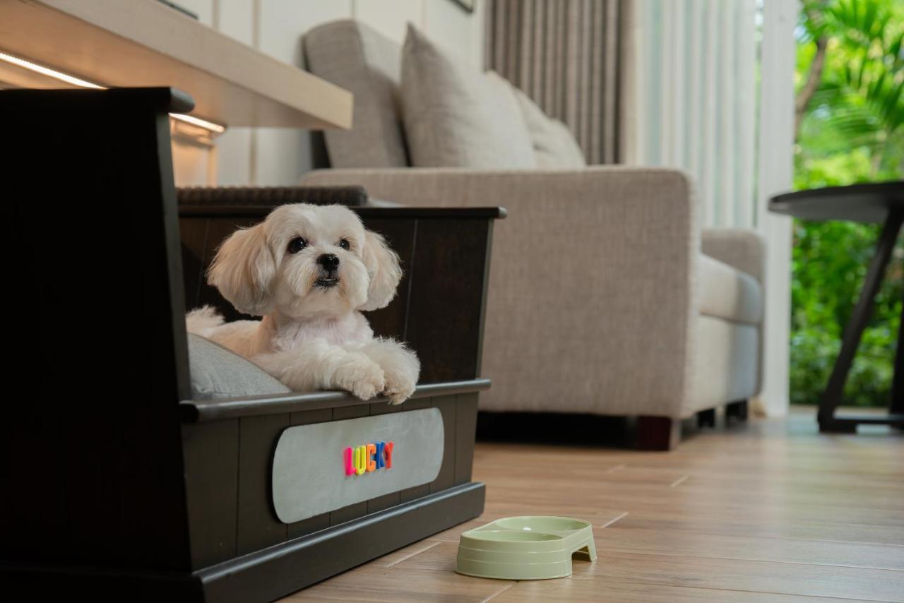 2 Twin Beds Pet Friendly Deluxe