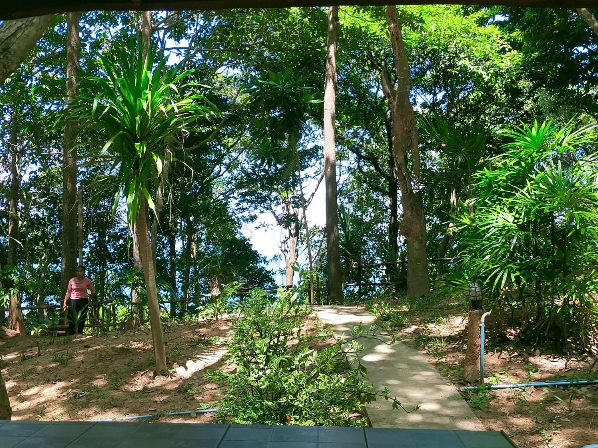 Superior Room Garden view & Air conditioned