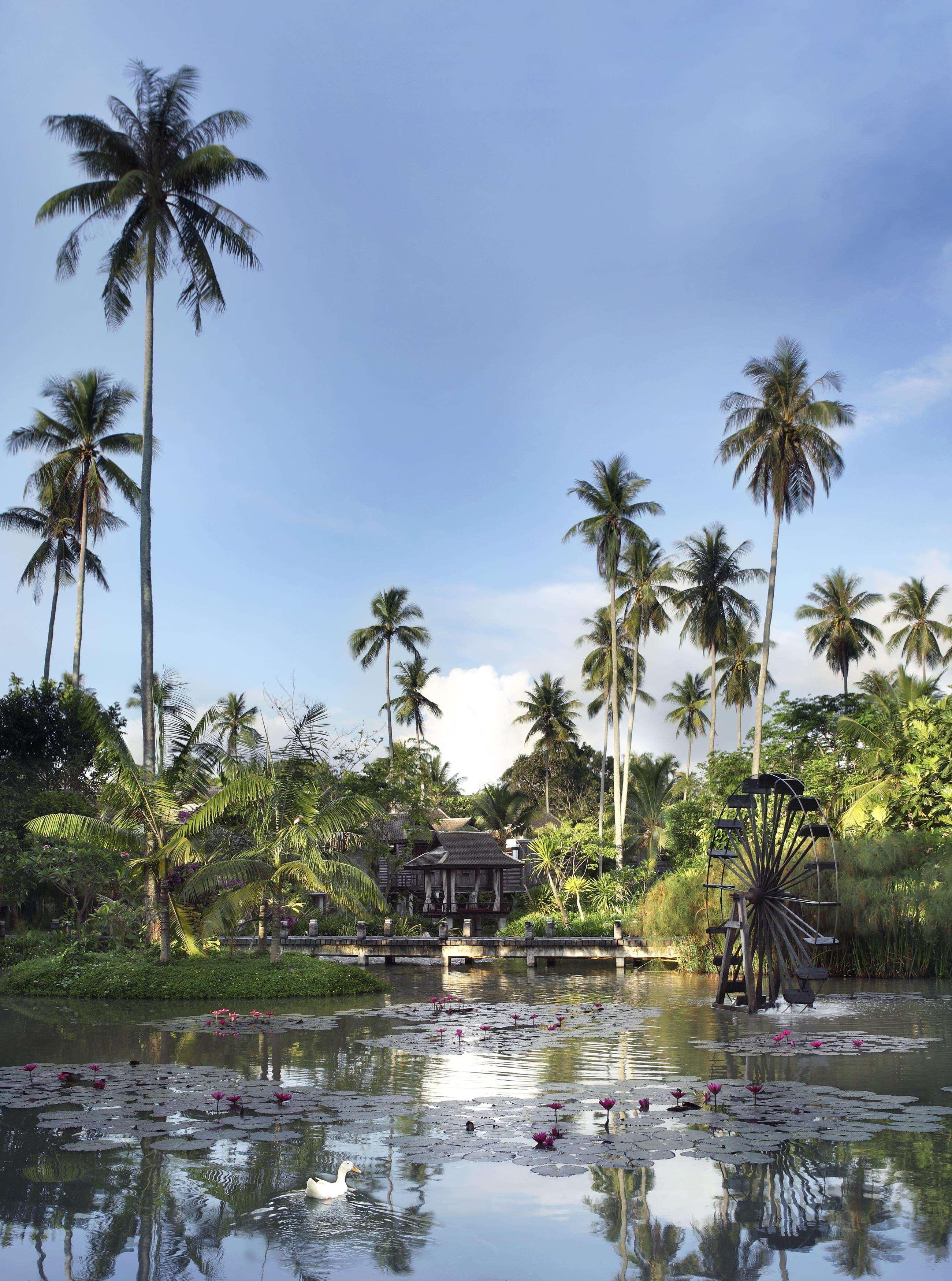 Lagoon Pool Villa