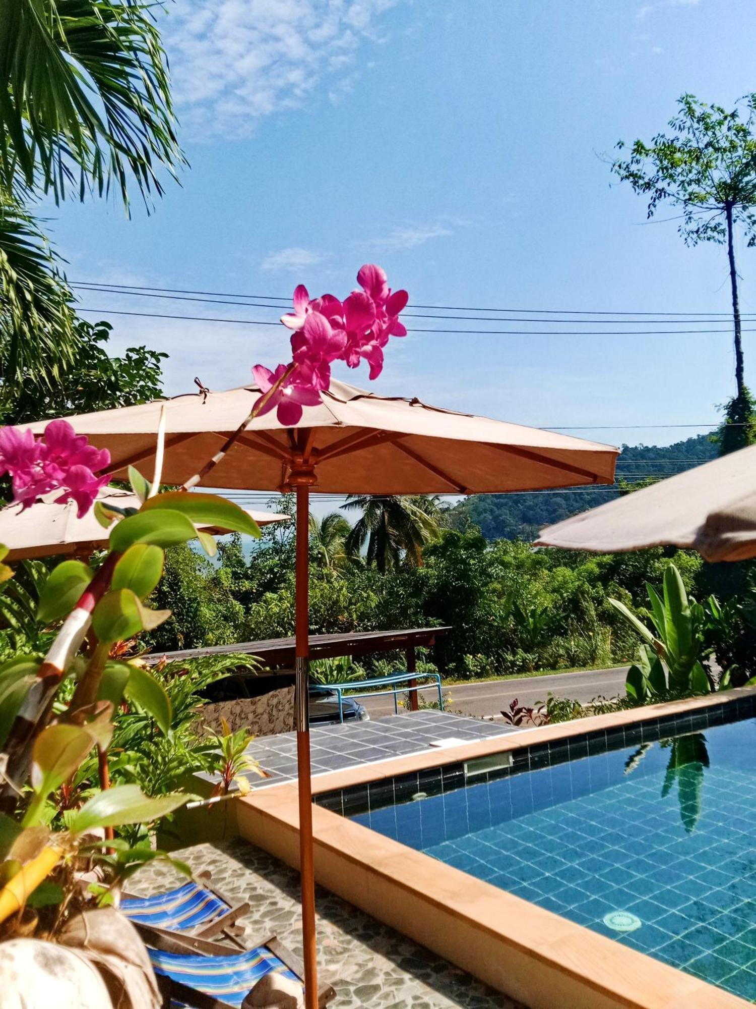 Bungalow Garden View