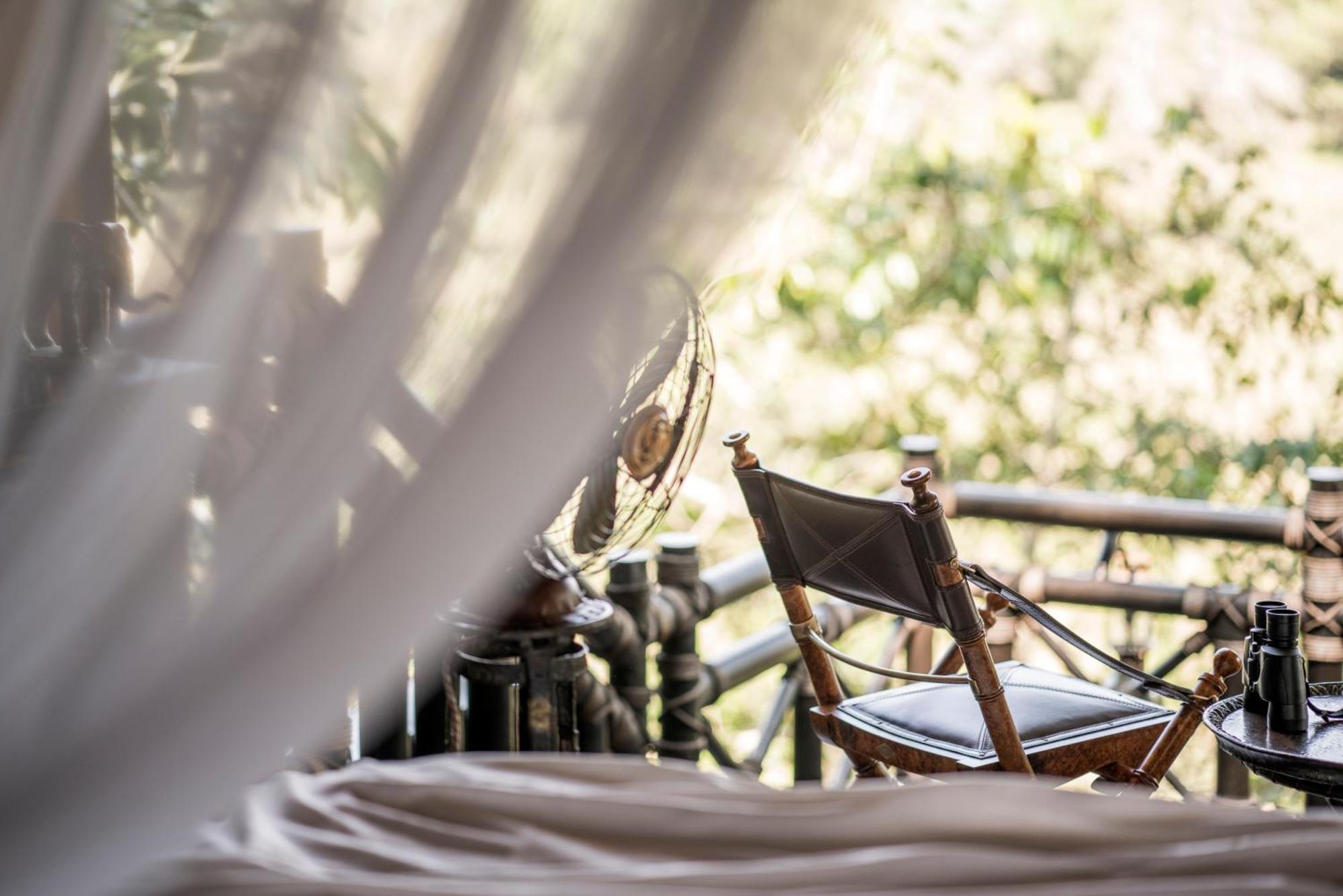 Bamboo Tent King