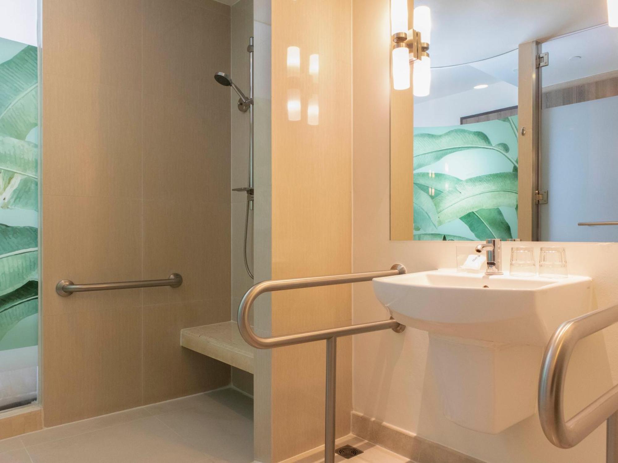 Standard King Room Accessible