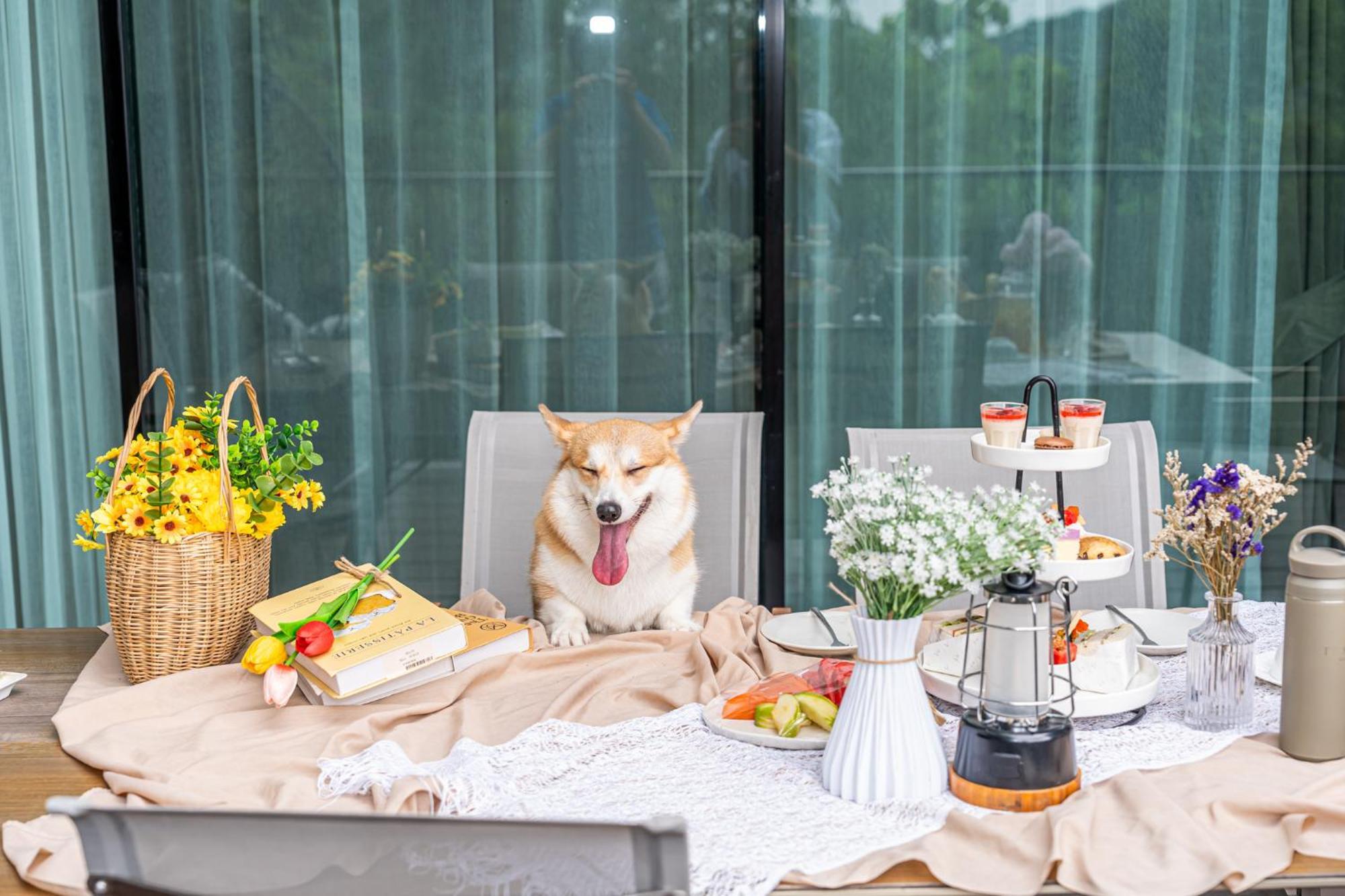 Pet-friendly Two-Bedroom Villa