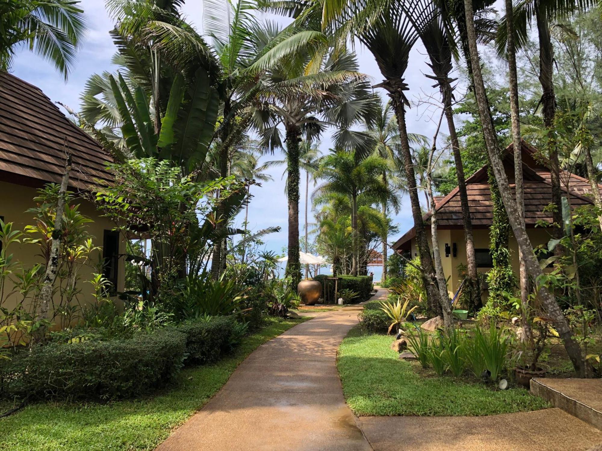 Bungalow Garden View