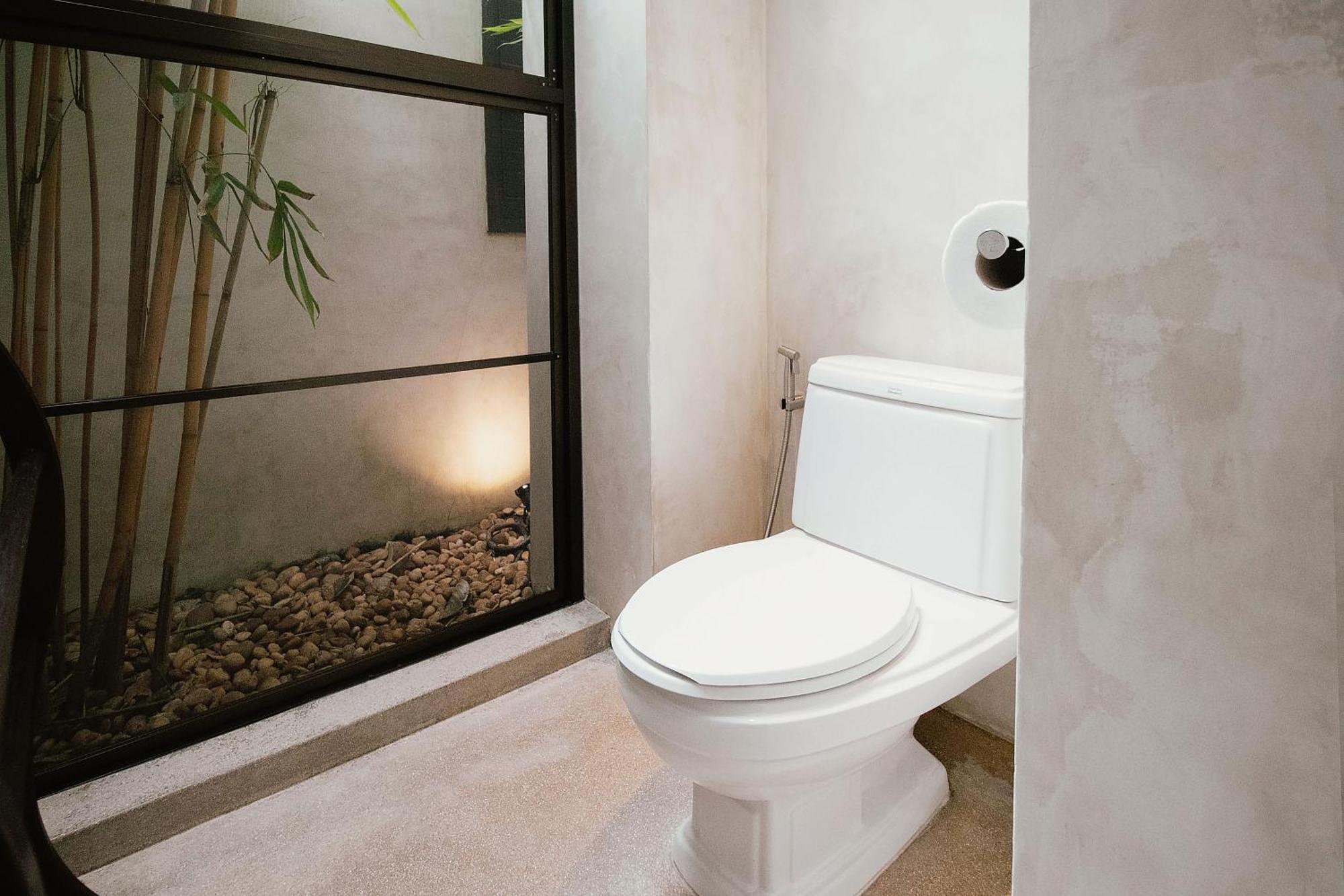 Plunge Pool Suite King