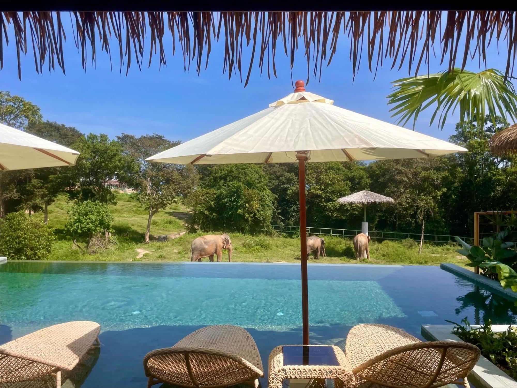 Deluxe Villa,1630094282:JPEG