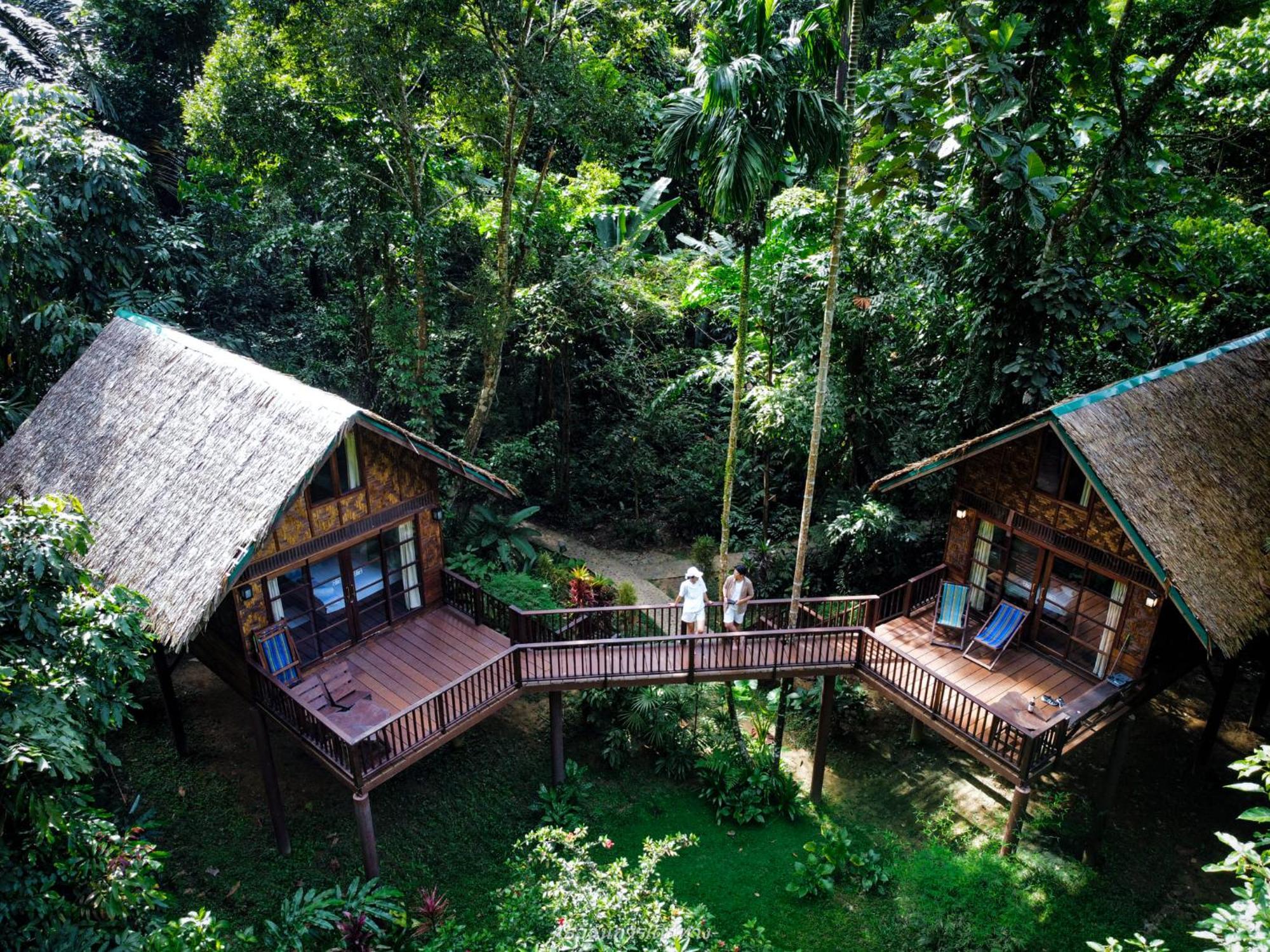 Treehouse Loft