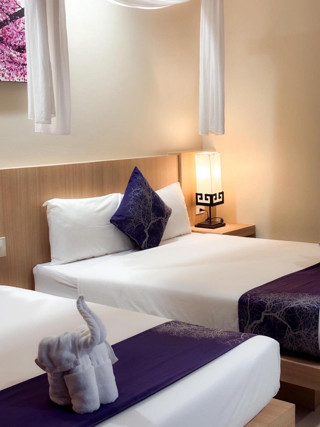 Deluxe Double or Twin Room