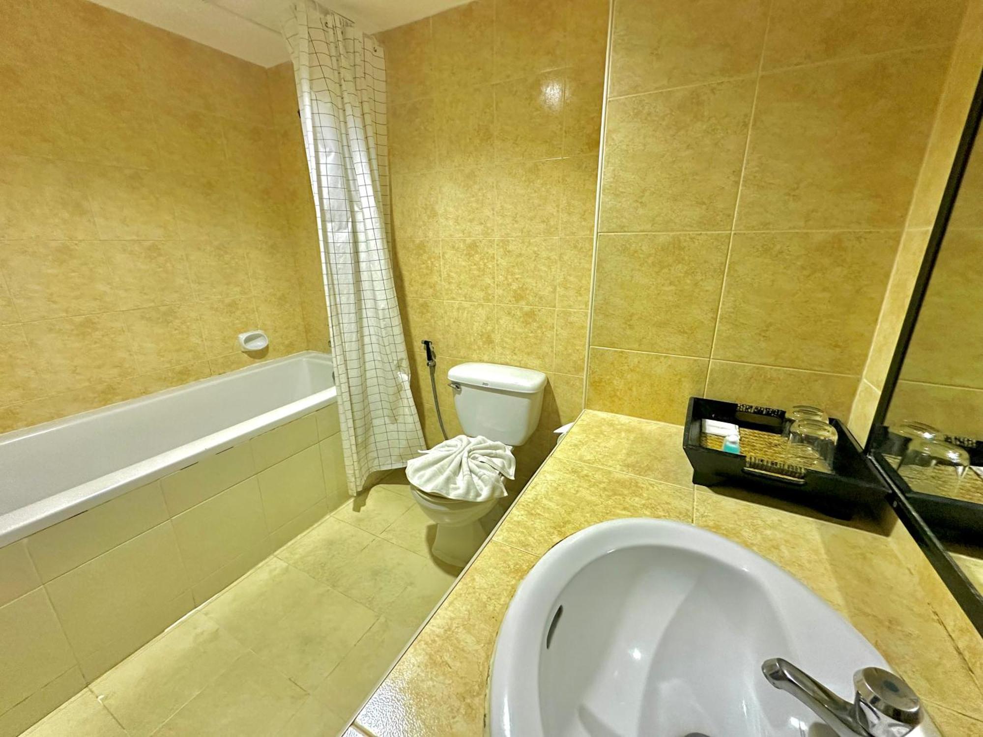 Superior Double or Twin Room Mountain View