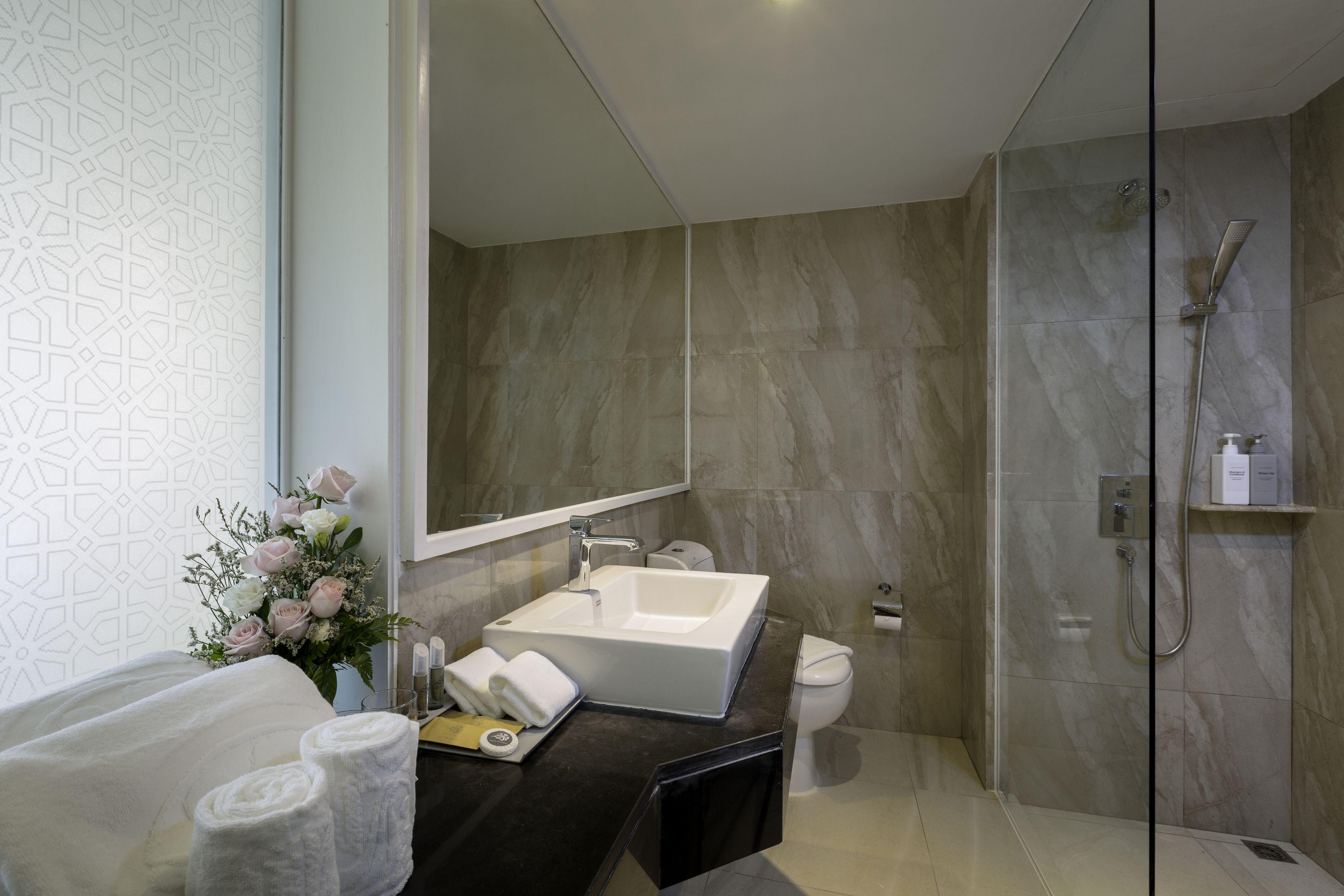 Superior Double or Twin Room