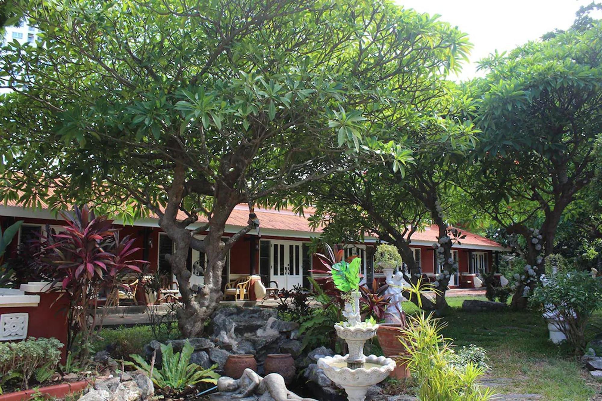 King Room Garden View