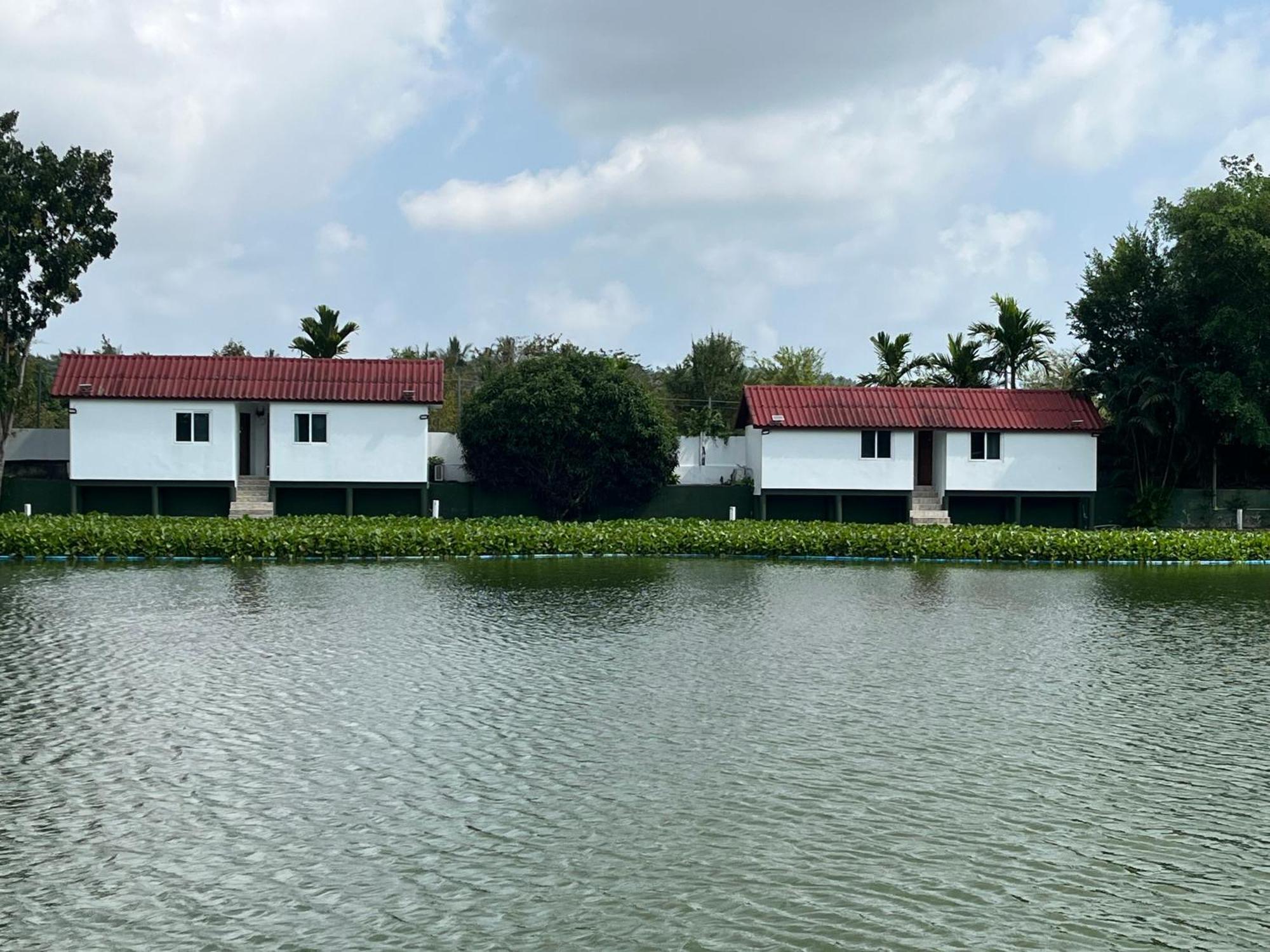 Double Room with Lake View