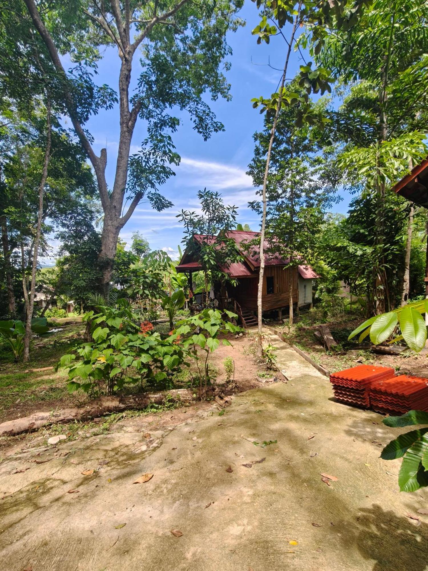 Bungalow Garden View