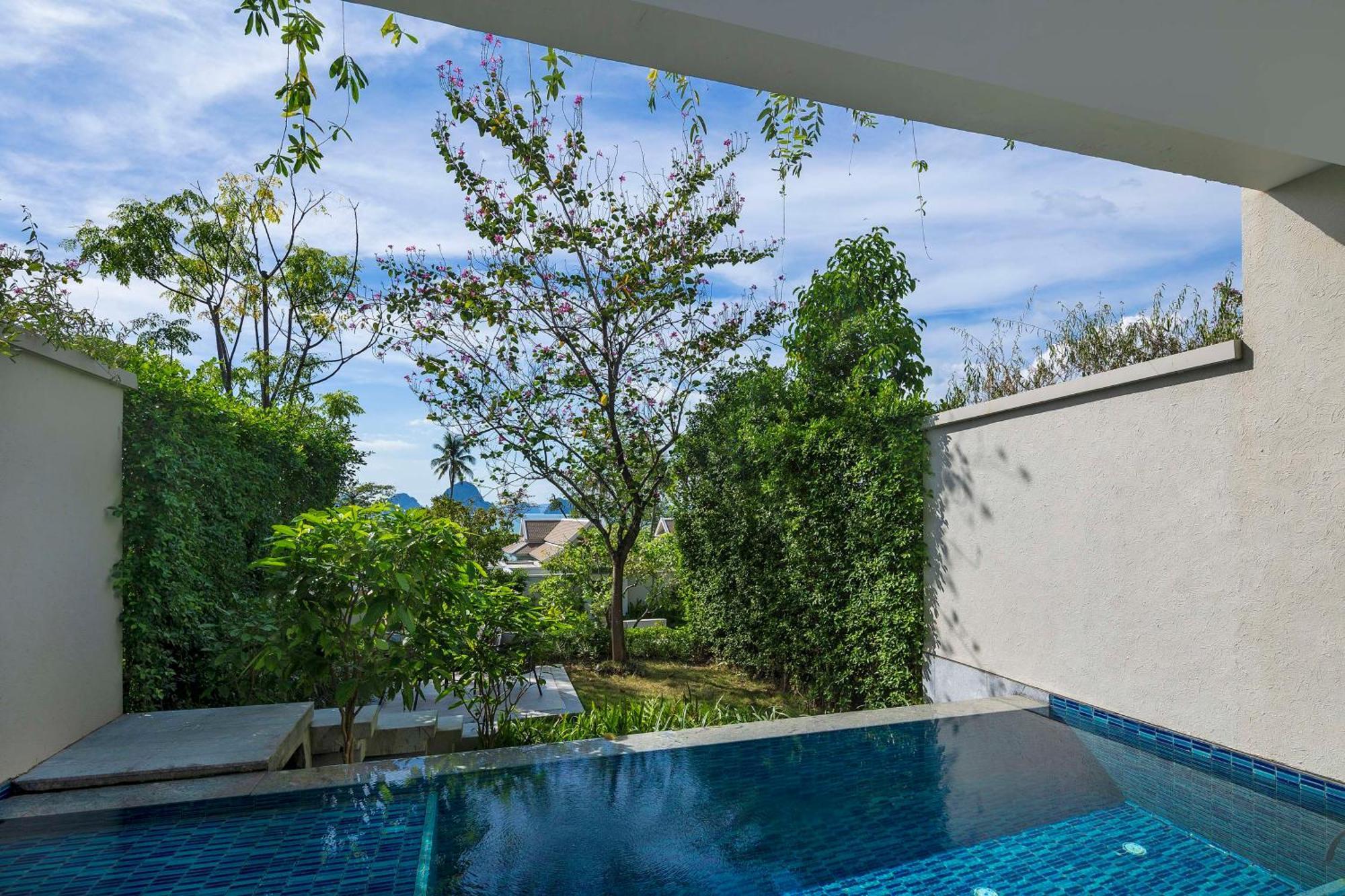 Deluxe Garden Pool Suite King