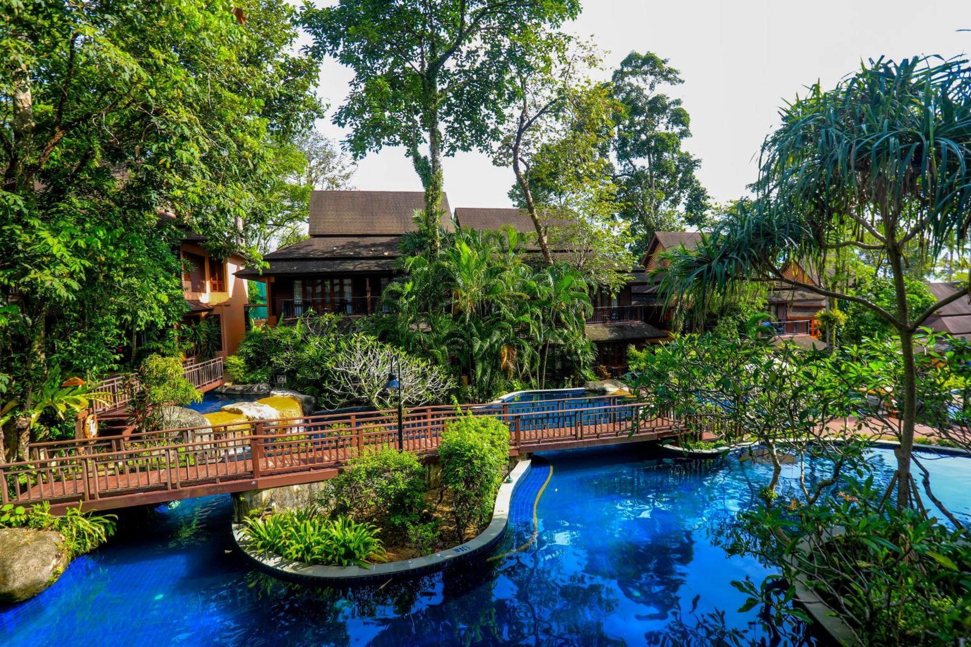 Premier Natural King Room