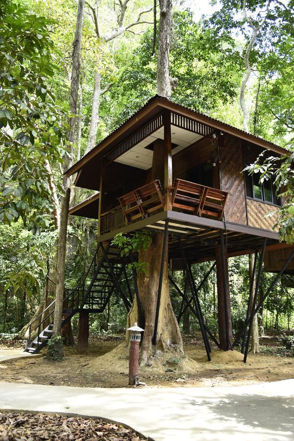 Tree House