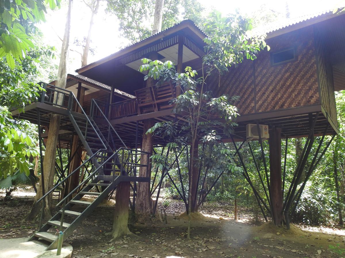 Tree House