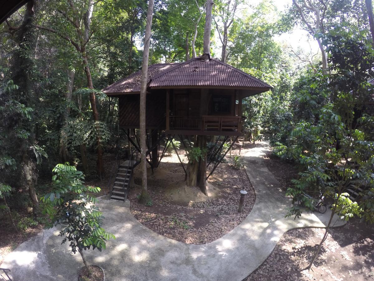 Tree House