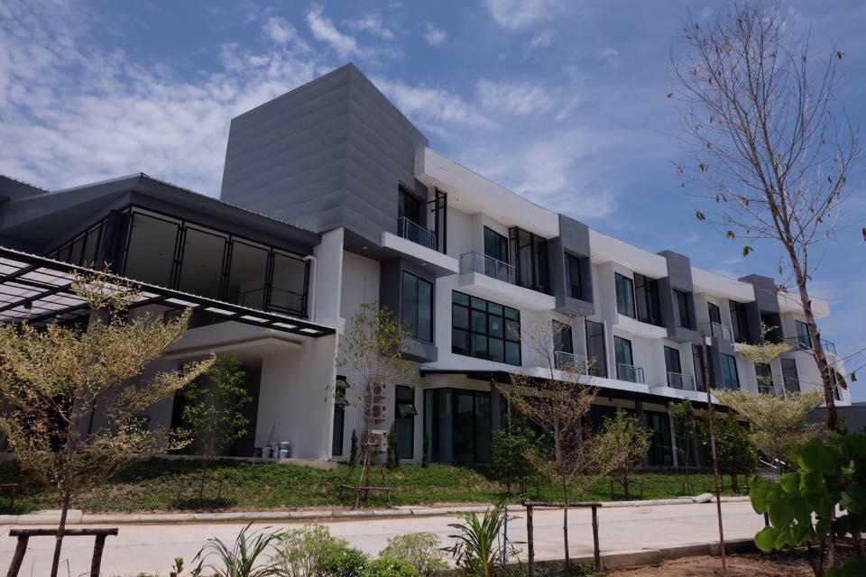 Superior King Room,649614138:JPEG