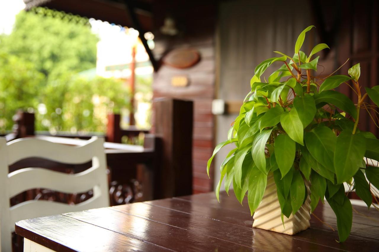 Bungalow Garden View