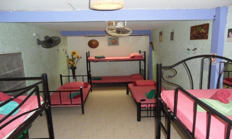 Bed in 8-Bed Mixed Dormitory Room