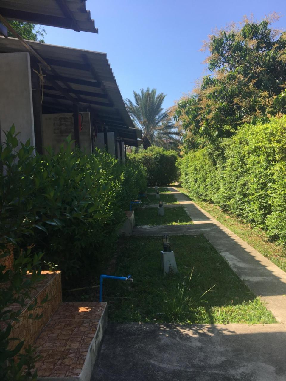 Double Room Forest View