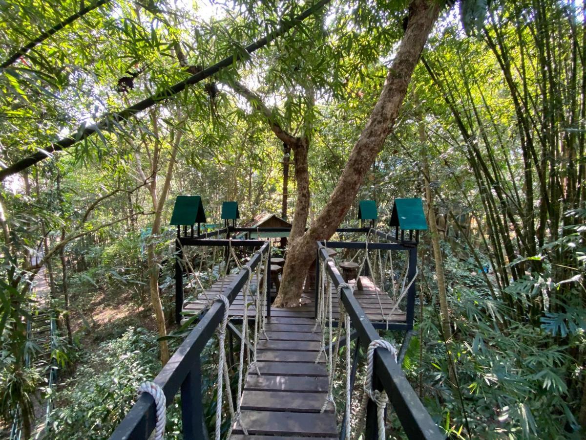 Bamboo Tree Hosue