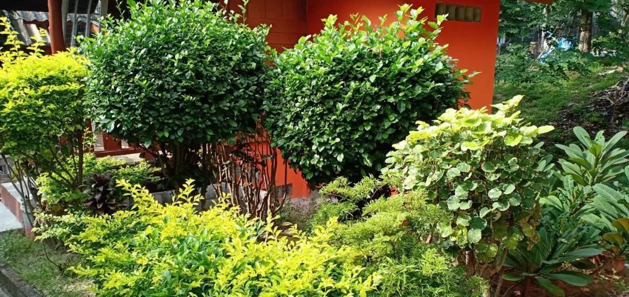 Bungalow Garden View Fan