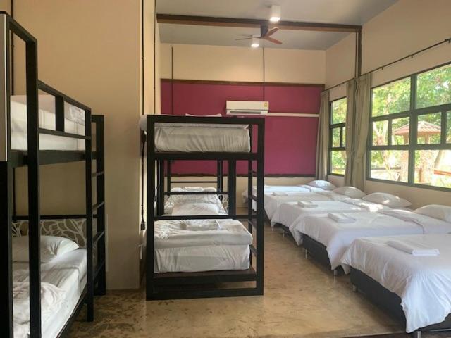 10-Bed Mixed Dormitory Room,1370832878:JPEG
