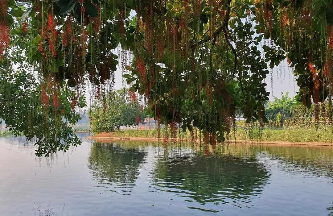 Ploy Resort-1