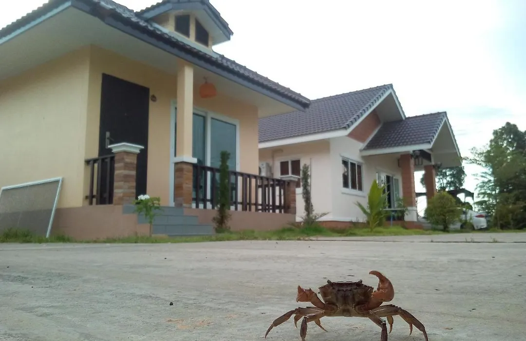 Suwi Coco Ville Resort-1