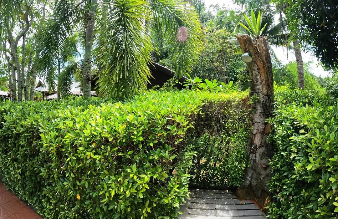 Cozy Garden Resort-1