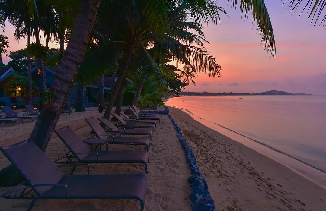 Paradise Beach Resort, Koh Samui - SHA Extra Plus-1