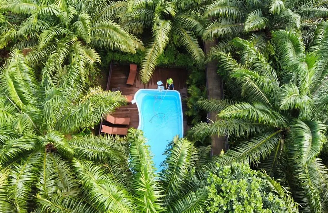Khaosok Good View Resort - Sha Plus-1