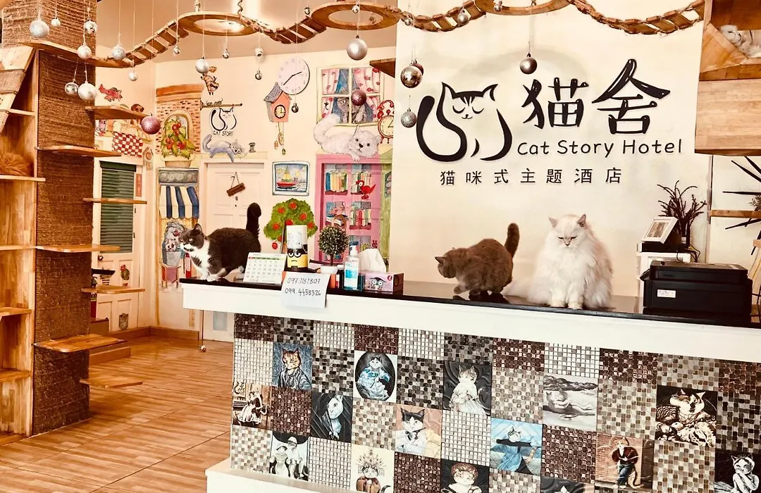 Cat Story Hotel-1