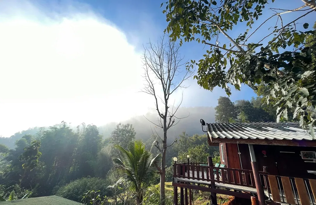 Forest Guesthouse-1