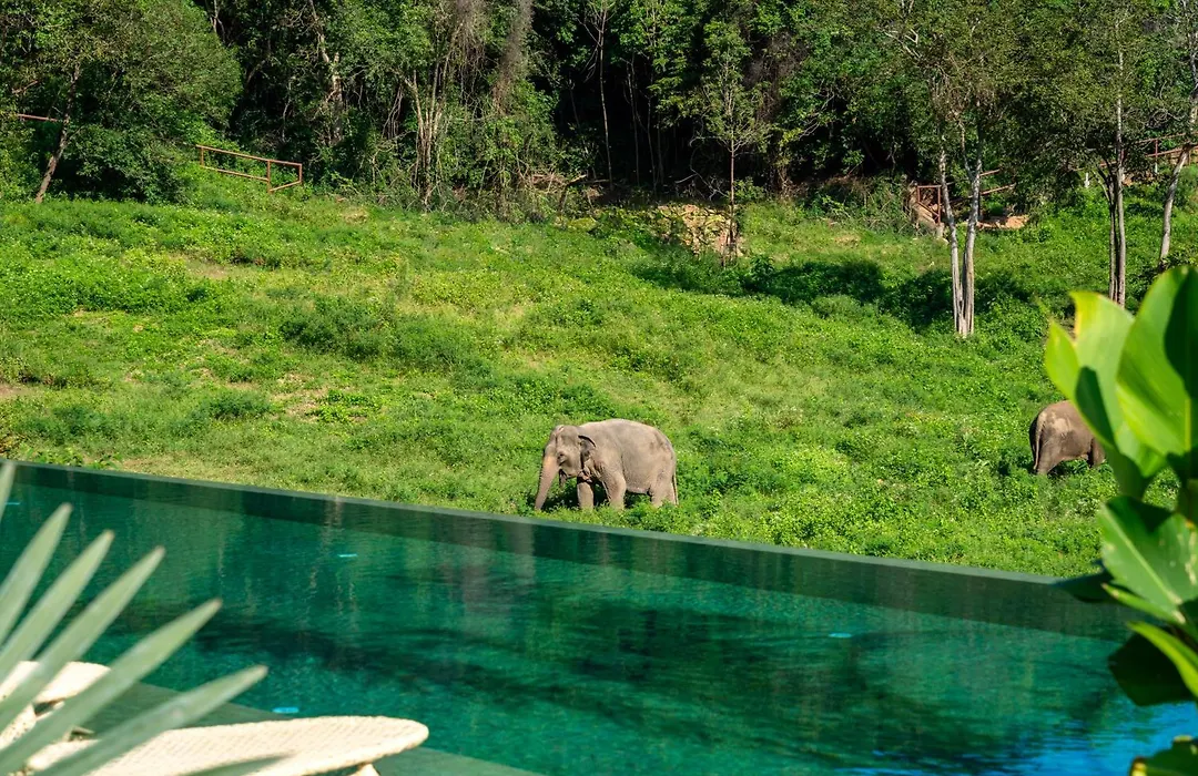 Wild Cottages Elephant Sanctuary Resort-1