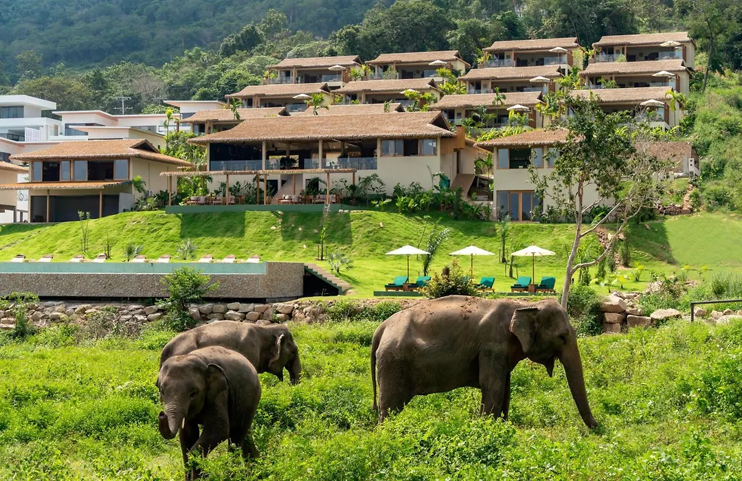 Wild Cottages Elephant Sanctuary Resort-1