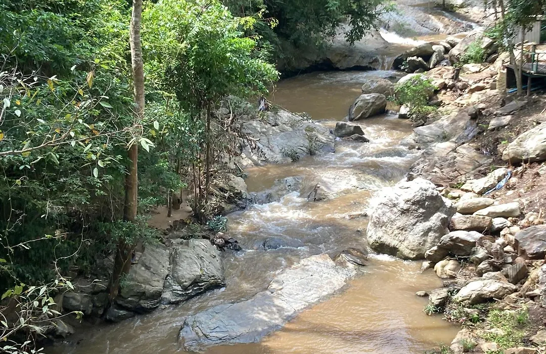 Maesa Greenery Hill Sha-1