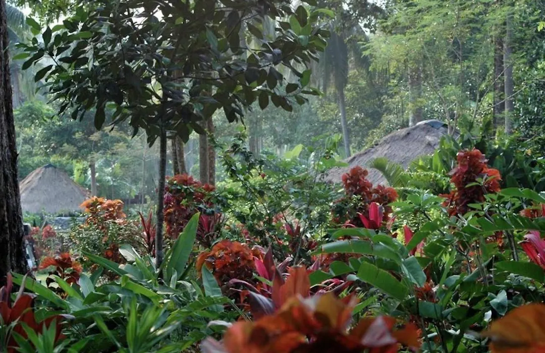 Oasis Koh Chang-1