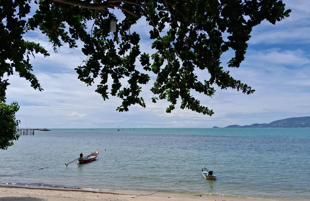 At Samui Haus-1