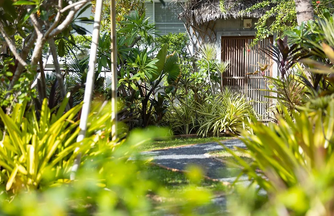 King's Garden Resort - SHA Plus-1