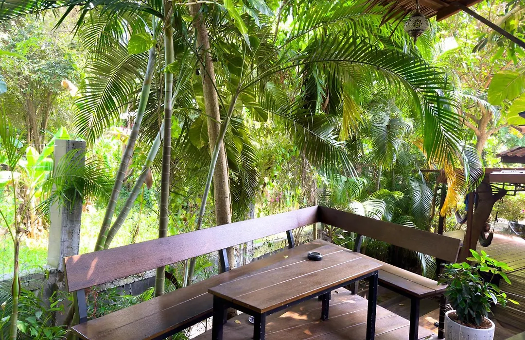 Jungle Vibes-1
