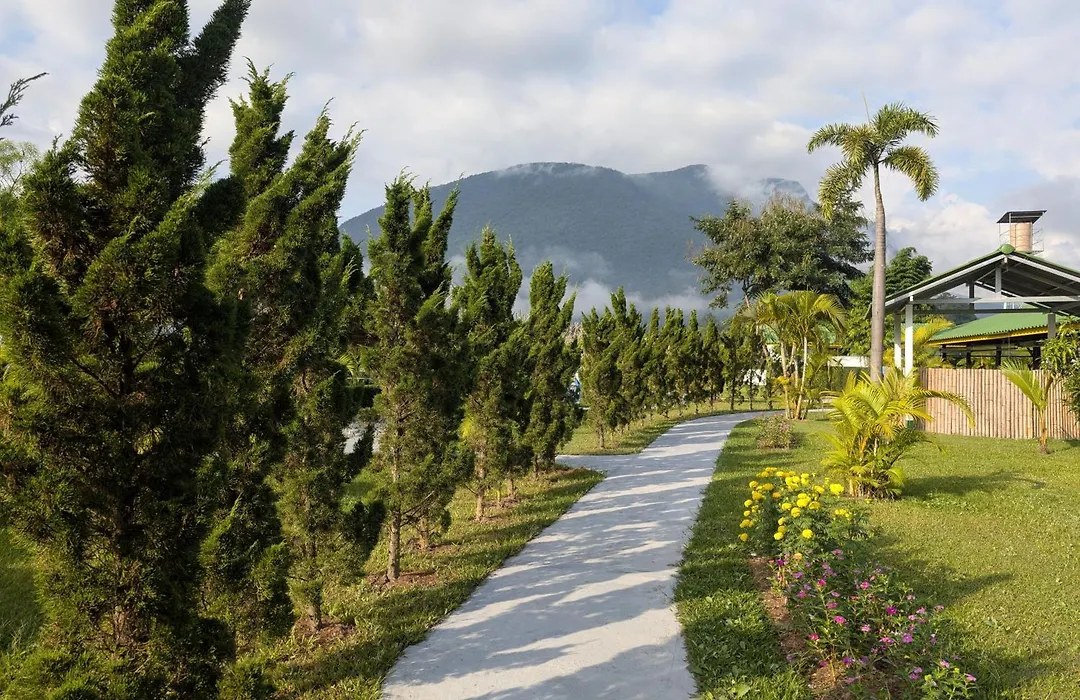 Tao Life Center-1