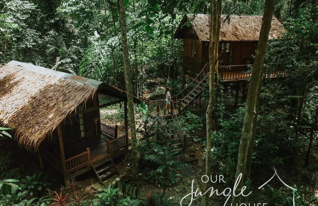 Our Jungle House-1