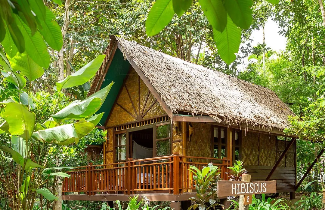Our Jungle Camp - Eco Resort-1