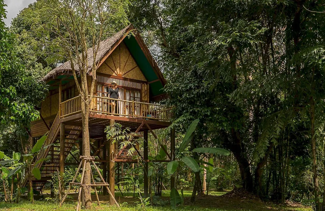 Our Jungle Camp - Eco Resort-1