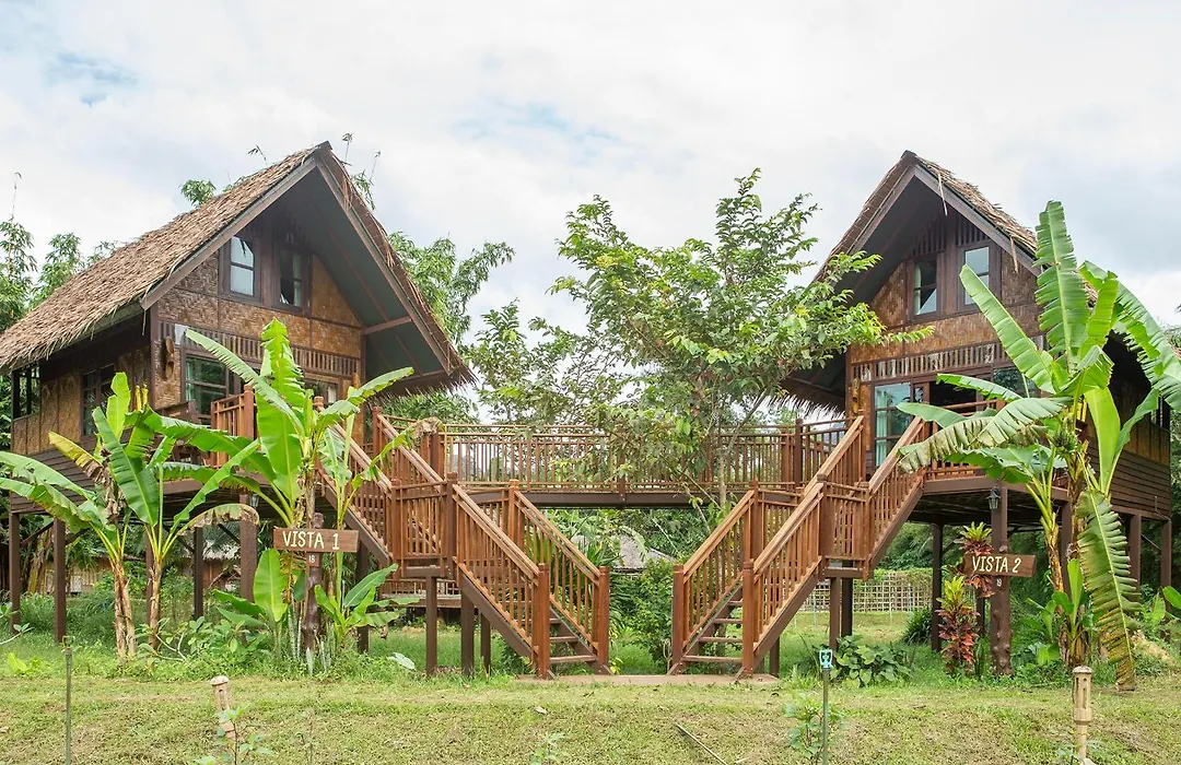 Our Jungle Camp-1