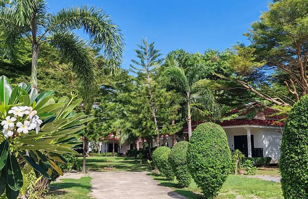 Matcha Lanta Resort-1
