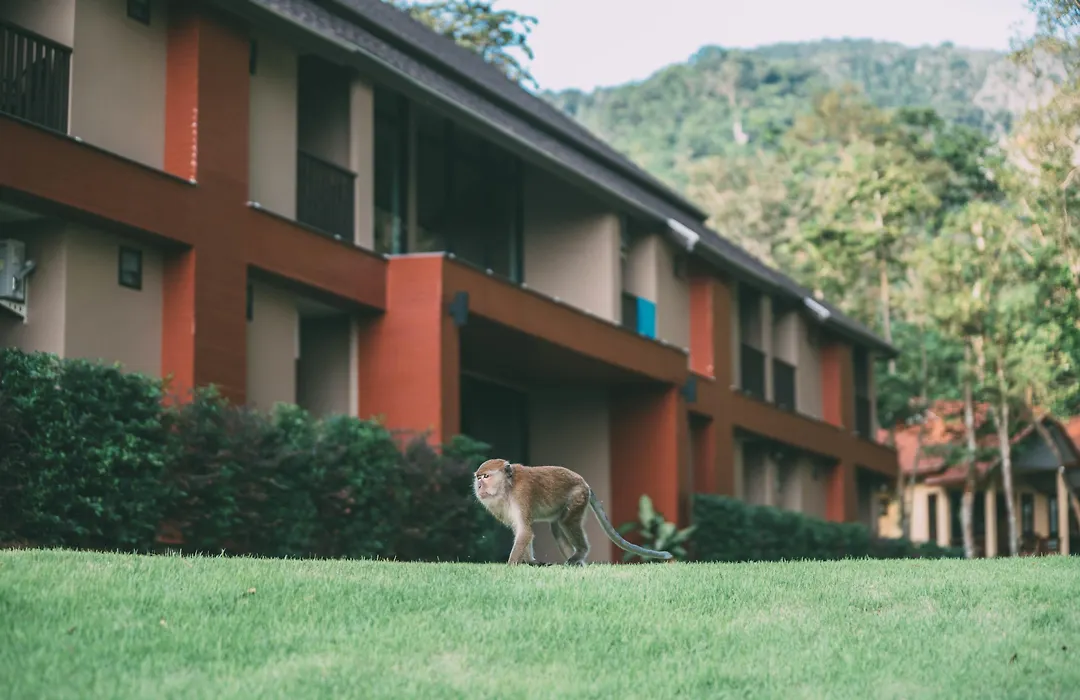 Tonsai Bay Resort-1